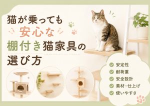 猫が乗っても安心な棚付き猫家具の選び方