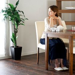 ダイニングセットの値段と相場について 安価なダイニングセットを紹介 