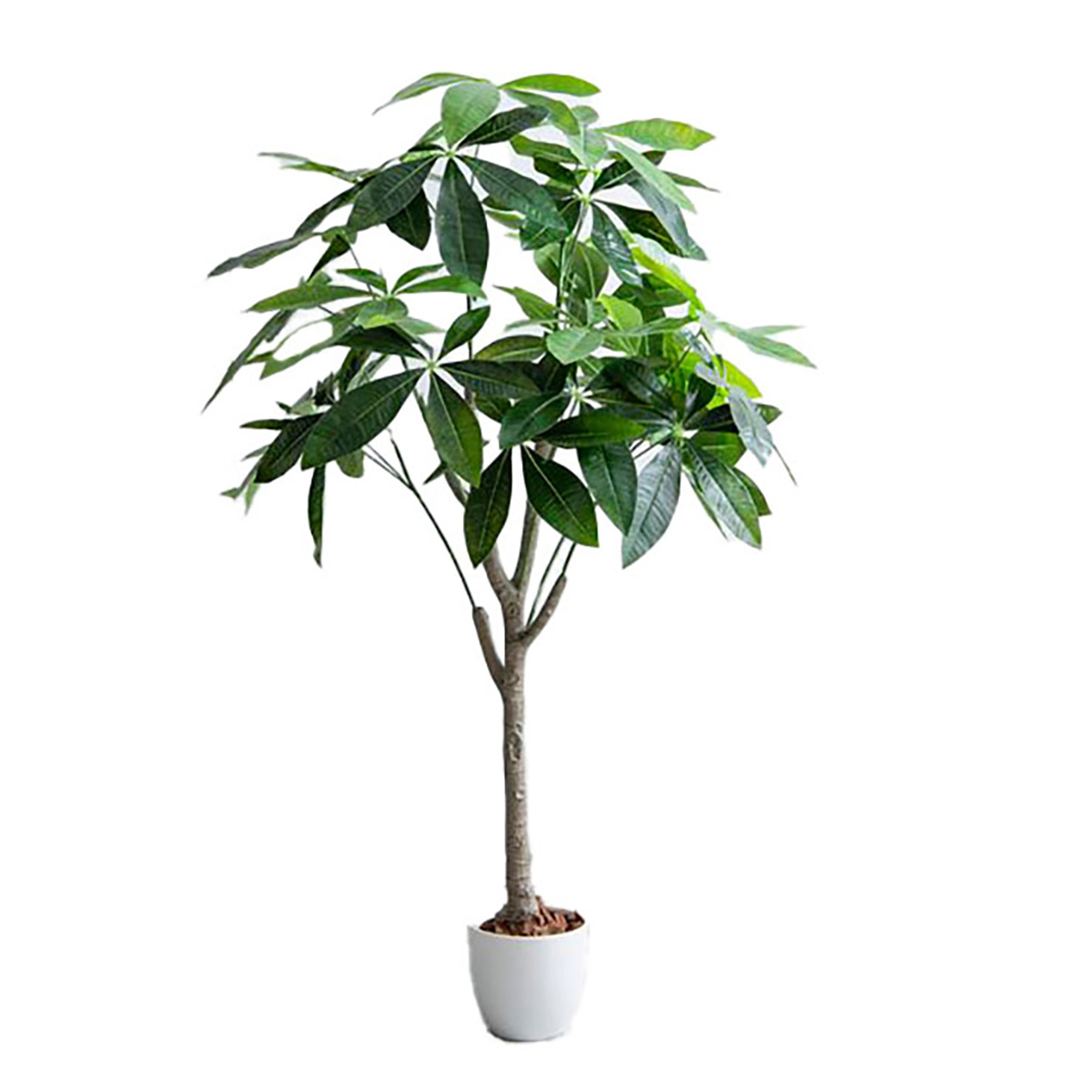 【光触媒/抗菌防臭】人工観葉植物 室内グリーン パキラ 高さ120cm フェイクグリーン 高さ120cm 大型 光触媒 人工観葉植物 パキラ Nature