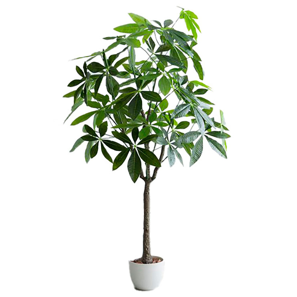 フェイクグリーン 高さ150cm 大型 光触媒 人工観葉植物 パキラ