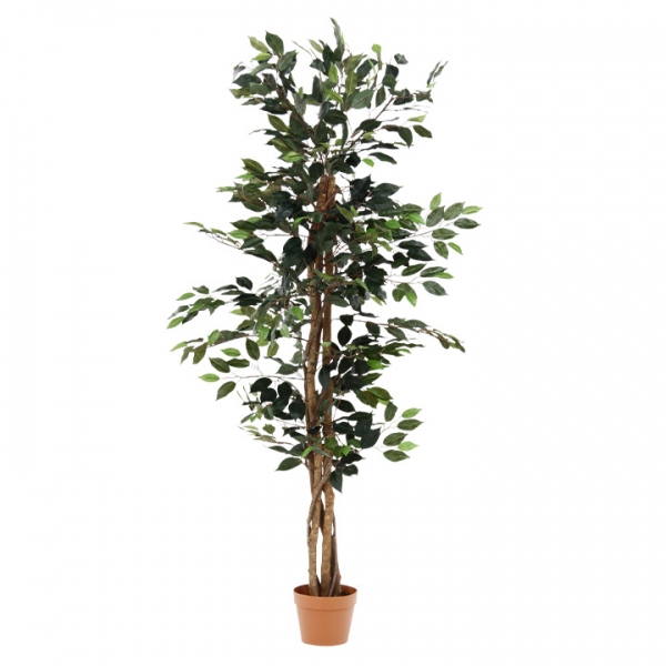 フェイクグリーン Ficus(フィカス) 690 H150cm・H160cm 2種対応