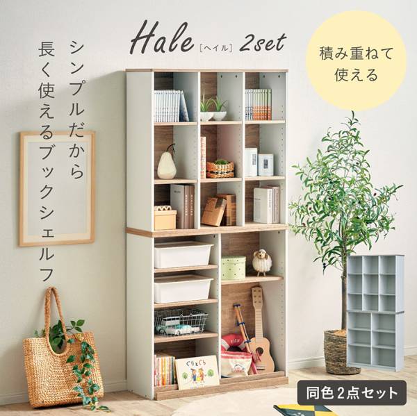 本棚 ブックシェルフ Hale(ヘイル) 2点セット 2色対応