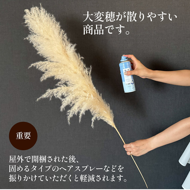 Pampas Grass(パンパスグラス) 110cm 3本セットの通販情報