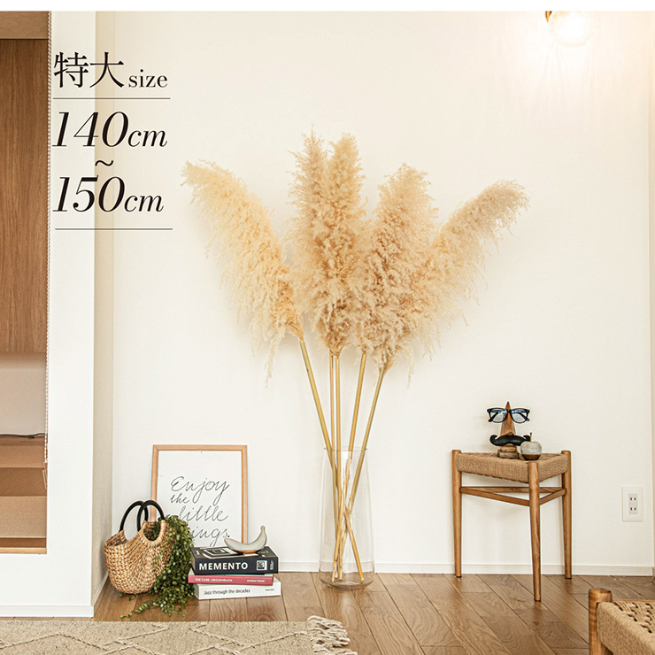 Pampas Grass(パンパスグラス) 110cm 3本セットの通販情報