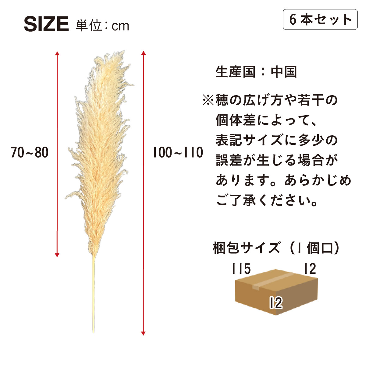 s711 特大パンパスグラス 14本(130cm6本110cm8本） Pampas Grass(パンパスグラス) 110cm 6本セットの通販情報 - 家具通販