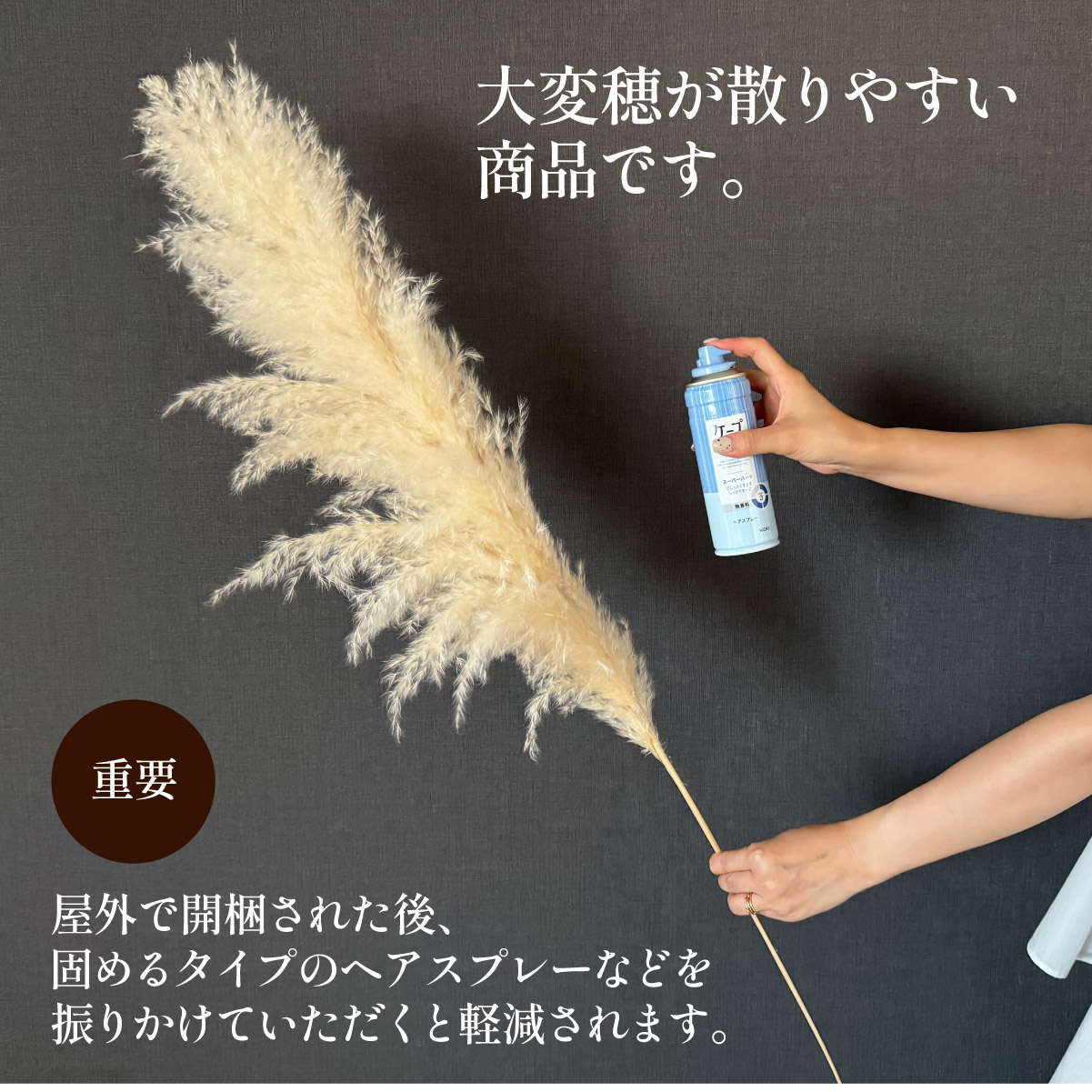 Pampas Grass(パンパスグラス) 110cm 12本セットの通販情報 - 家具通販