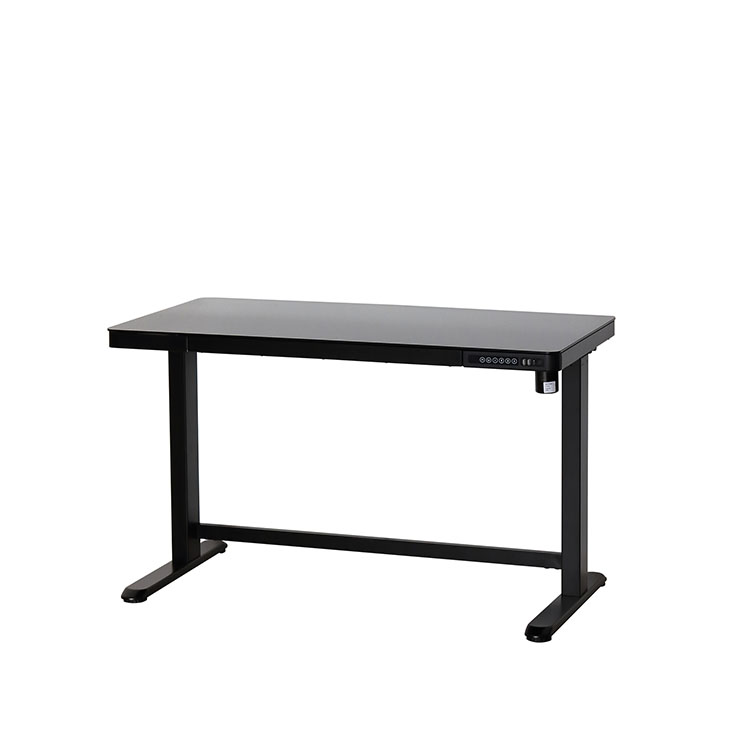電動昇降デスク ブラック 120cm x 60cm x 73-118cm 新品 電動昇降デスク ブラック 120cm x 60cm x 73-118cm 新品