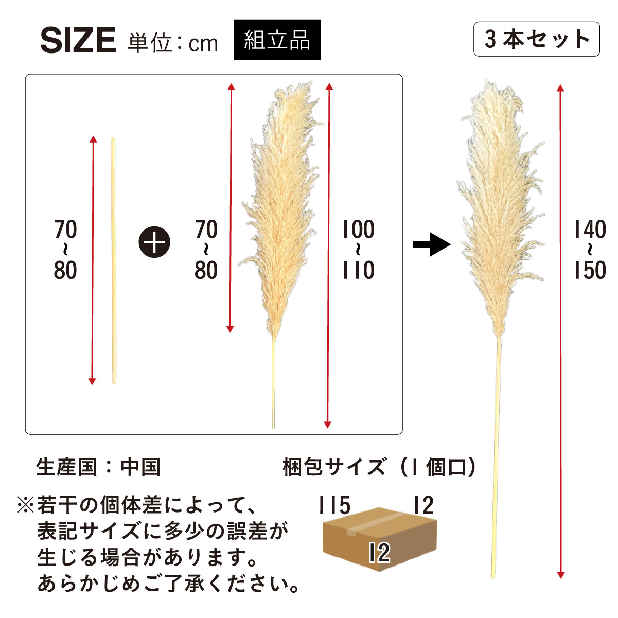 Pampas Grass(パンパスグラス) 特大サイズ 150cm 3本セットの