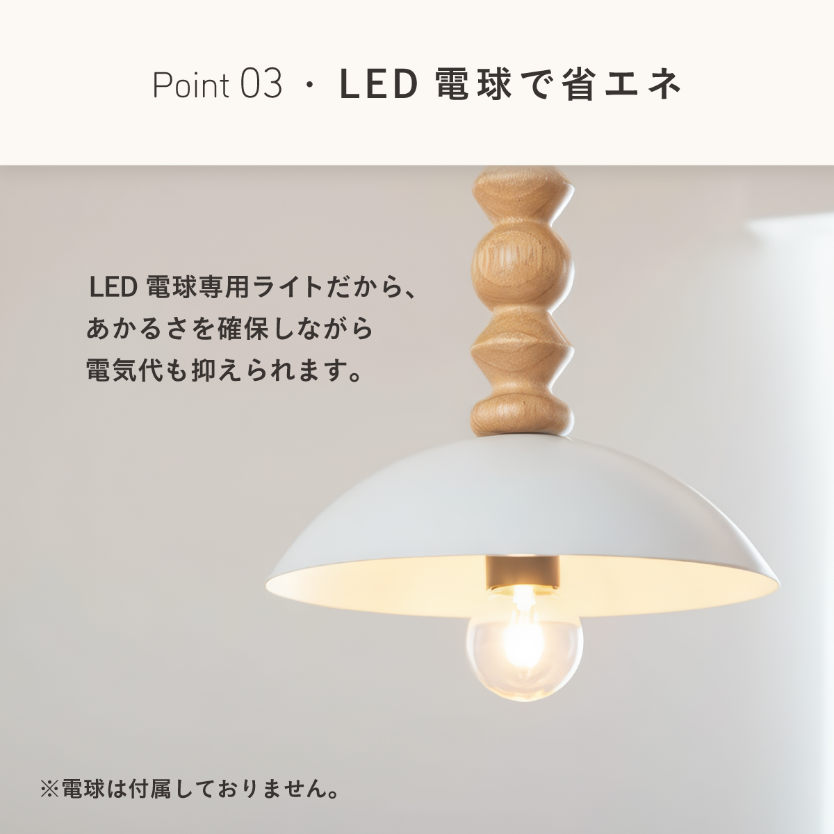ペンダントライト シーリングライト 1灯 LED専用 スチールシェード