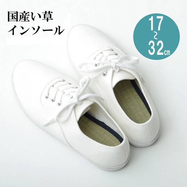 日本製 い草インソール 17～32cm 中敷き