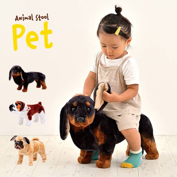完成品 アニマルスツール ペット 耐荷重80kg