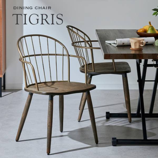 ダイニングチェア TIGRIS(ティグリス) 2脚セット 2タイプ