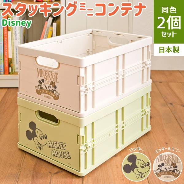 国産 ディズニー スタッキングミニコンテナ 2点セット 2種
