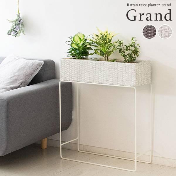 プランタースタンド 室内 幅60cm ラタンプランタースタンド Grand(グラン) 2色対応