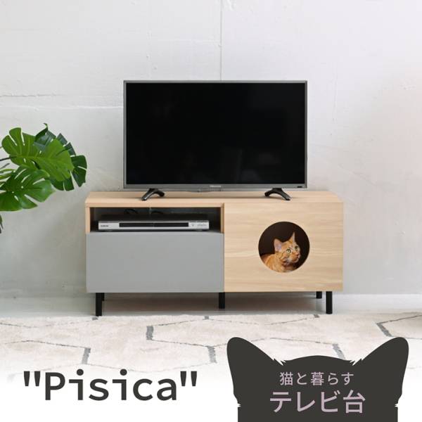 キャットハウス テレビ台 幅100cm Pisica