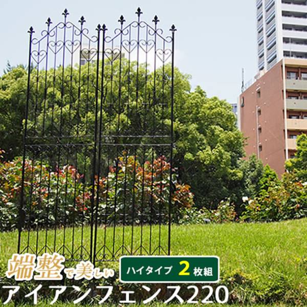 柵 アイアンフェンスハイ220 2枚組