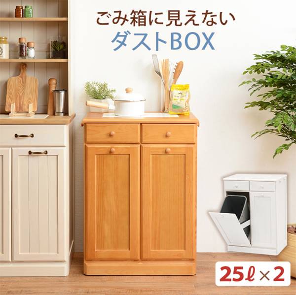 ゴミ箱 ダストボックス 25Lx2 MUD-6722 2色対応