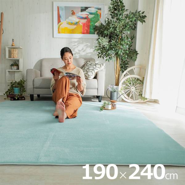  ラグ 洗える さらふわラグ 190x240cm ホリデープラス 13色対応 ホットカーペット 床暖房対応