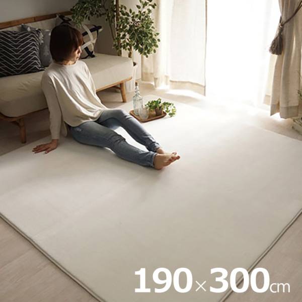  ラグ 洗える さらふわラグ 190x300cm ホリデープラス 3色対応 ホットカーペット 床暖房対応