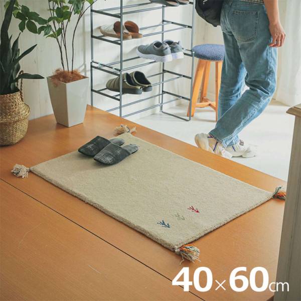 玄関マット 40x60cm アヤカ 6色対応 ホットカーペット 床暖房対応