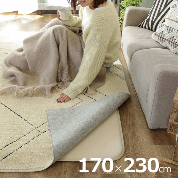 下敷きマット 170x230cm 極厚 ピタリプラス 手洗い可