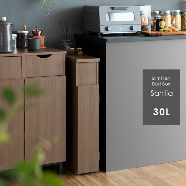 ゴミ箱 スリムダストボックス Santia サンティア DB-F170 3色対応の