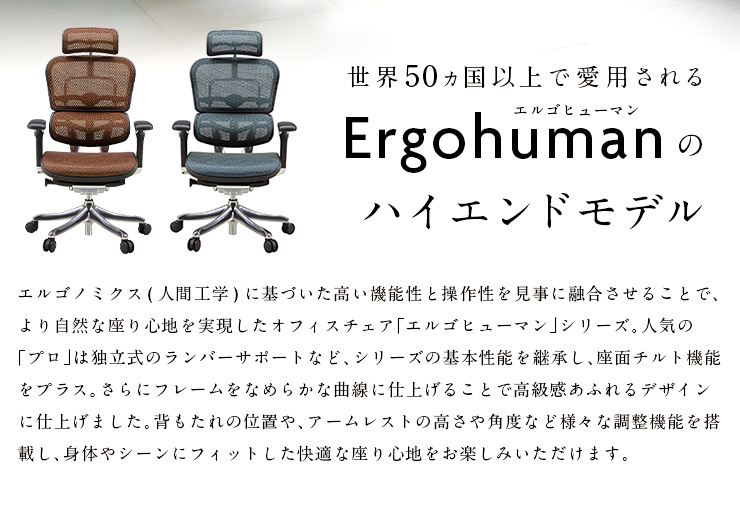 Ergohuman PRO(エルゴヒューマン プロ) ヘッドレスト付き EHP-HAM 12色対応「家具通販のわくわくランド 本店」